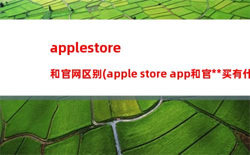 applestore和官网区别(apple store app和官网购买有什么区别)